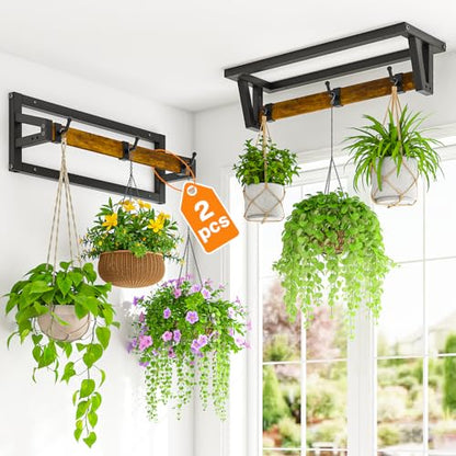 LASZOLA Plant Hanger Holder Shelf Indoor Window Wall Mount, 2 Pack Brown - color: Black+Brown, size: 2