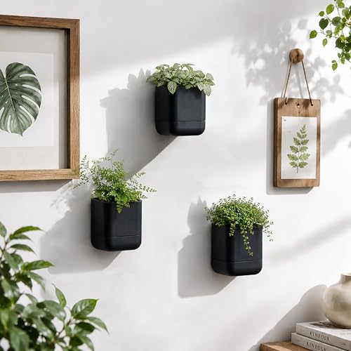 Phoenix Vine 3.5 Inch Wall Mounted Self-Watering Planter Pot for Indoor Houseplants and Herbs | Hanging Planter for Window Sills, Bathroom Walls, Home & Office Décor, Black, Set of 3, 01-A-E-3 - color: Black, size: 3.5" (3 Pack)