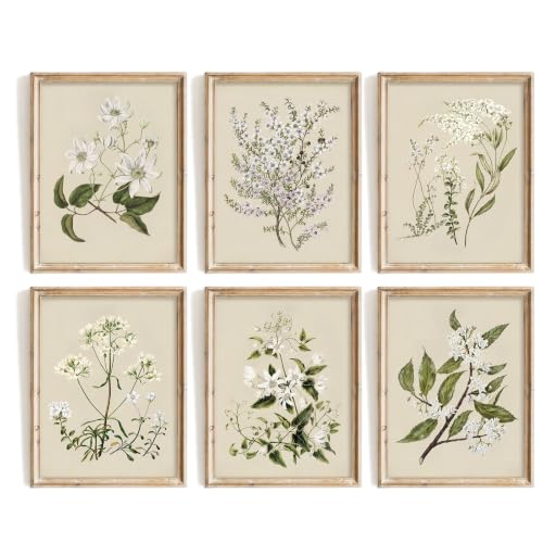 SQGGZH Vintage Botanical Prints Set of 6, Neutral Floral Gallery Wall Art, Watercolor Flower Oil Painting, Retro Neutral Botanical Canvas Wall Art, Wildflower Wall Decor, Minimalist Plant Pictures for Gallery, Office, Home, Bedroom, Living Room - Unframed