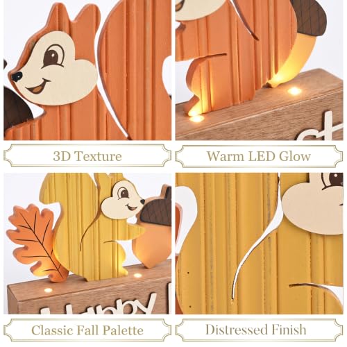 Valery Madelyn Fall Decorations for Home with LED Lights, 12 Inch