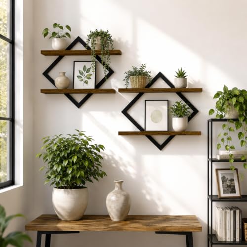 2 Pack Floating Wall Shelves for Indoor Plants, 2-Tier Wall Plant Holder - size: 2-Pack