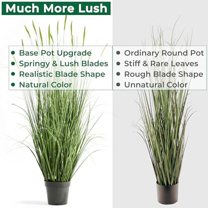 Faux 4ft 2-Pack Horsetail Reed Grass with Green Spikes in Black Pot - color: Green