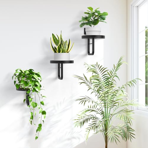 3 Pack Wall Plant Holder for Hanging Planters Indoor Outdoor Black - color: Black-3Pcs20cm
