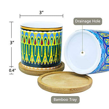 Mandala Succulent Pot with Drainage Hole & Bamboo Coaster, Small Plant Pots, Bohemian Ceramic Succulent Planter Pot for Small Plant-6 Pack - color: A Style
