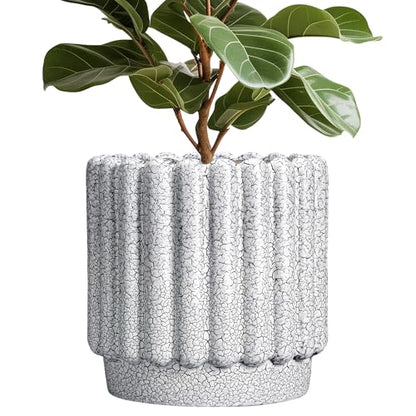Ceramicfor Ceramic Planter, 12 Inch, Black and White - color: Black and White, size: 12 Inch