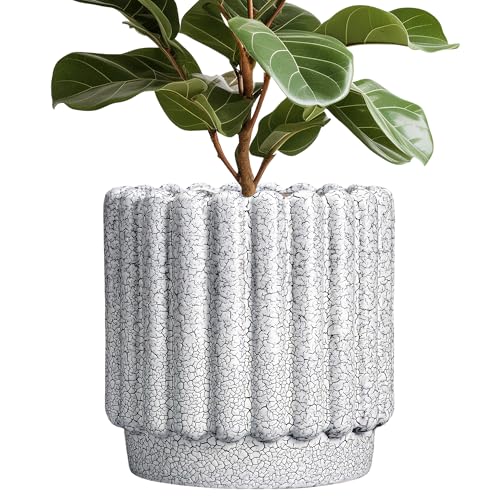 Ceramicfor Ceramic Planter, 12 Inch, Black and White - color: Black and White, size: 12 Inch