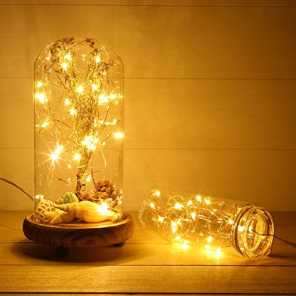 ANJAYLIA Fairy Lights, 10ft 30 LED Mini String Lights Battery Operated Firefly Starry Lights for Wedding, Bedroom, Party, Christmas, Warm White 2 Pack - color: Warm White 2 Pack 30 LED