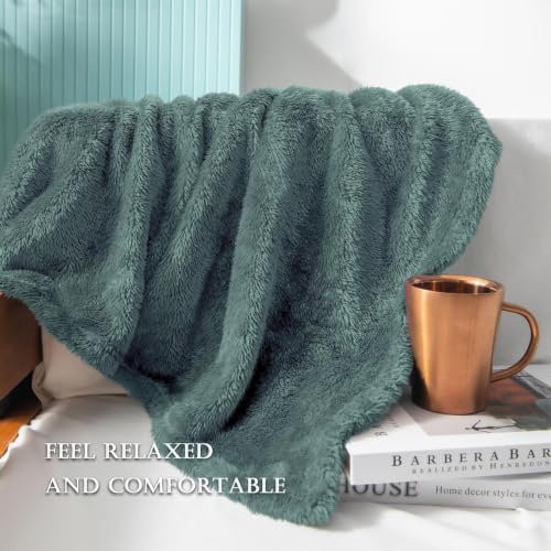 Exclusivo Mezcla Fuzzy Large Fleece Throw Blanket for Couch, Celadon - color: Celadon, size: 50x70 IN