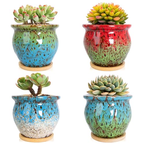 ARTKETTY Succulent Pots - 4 Pack Small Plant Pots with Drainage Tray - color: 4.5'' Colorful 1