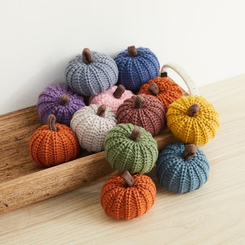 Mini Knit Pumpkins Set of 12, Warm Pumpkin Colors (Mini Assorted Set 12) - color: Mini Knit Assorted Set 12
