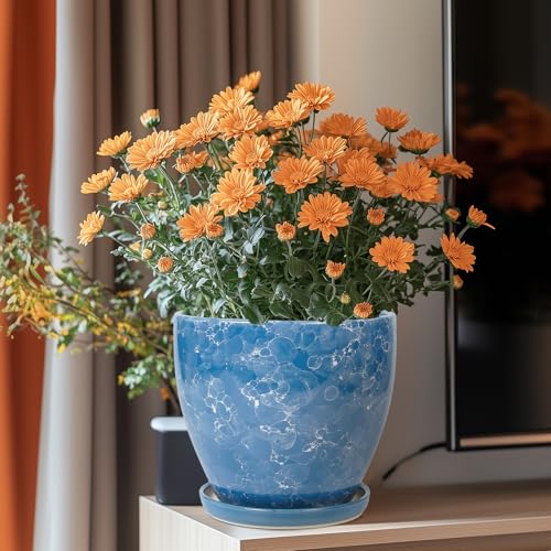 8 Inch Plant Pot - Ceraimc Planter for Indoor Outdoor Plants, Round Flower Pot with Drainage and Saucer, Decorative Planter, Porch Room Office House Decor, Gardening Gifts for Women, Blue - color: Sky Blue, size: 8 Inch