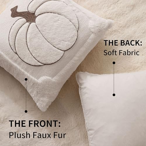 Allorry Fall Pillow Covers 20x20 2 Pack Cream White Pumpkin Home Decor 010E - color: Cream White, size: 20" x 20" (Pack of 2)