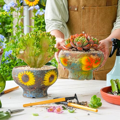 Sungmor Small Succulent Planters Set of 2, Beautiful Hand Crafted Ceramic Plant Pots Cute Cactus Pot, 6.5 Inch Flower Pots for Indoor Plants with Drainage, Desktop Windowsill Home Office Decor Pots - color: Style-j (Dia.: 6.9inch & H: 4.3inch)