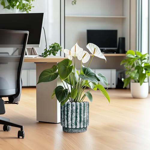 Ceramicfor Ceramic Plant Pot, 9.6 Inch, Green - color: Green, size: 9.6 Inch