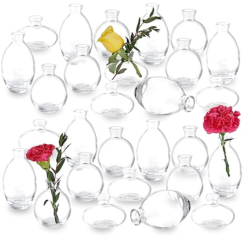28 Clear Bud Vases in Bulk, Glass Small Bud Vase for Centerpieces - color: Clear Set of 28