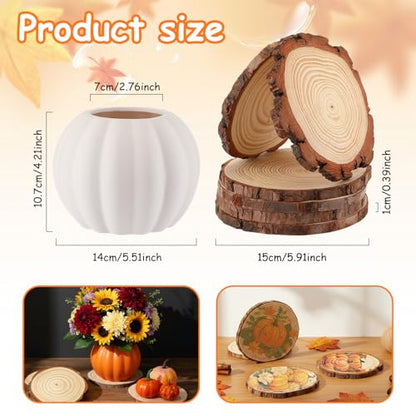 Meanplan 12 Pcs 5.5" DIY Ceramic Pumpkin Vase for Centerpiece Fake White