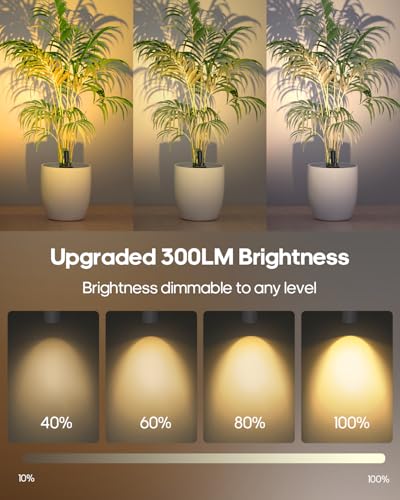 Spotlights Indoor with Remote, 3000Mah Rechargeable Wireless Plant Light - color: White-3000mAh