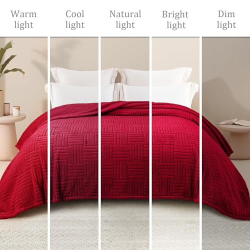 Whale Flotilla Lightweight Fleece Queen Size Blanket for Bed, Red - color: Red, size: Queen(90x90 Inch)