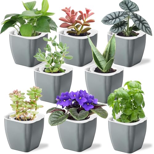 Oliz 8 Pack 4-inch Plant Pots Indoor Garden Decorative Flower pots Small Self-Watering Planters for Small Plants WindowSill Planters for Succulents, African Violets, Herbs(Sliver Black) - color: Sliver Black-8 Pack
