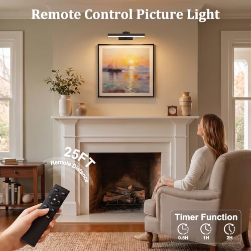 Picture Light for Wall, 4000mAh, 13.8 Inch, 2 Pack, Black - color: Black