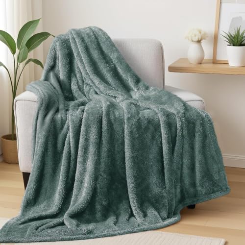 Exclusivo Mezcla Fuzzy Large Fleece Throw Blanket for Couch, Celadon - color: Celadon, size: 50x70 IN