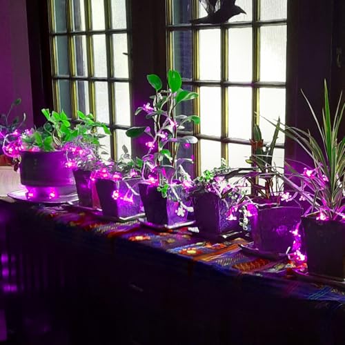 USB & Battery Powered Pink Cherry Blossom Flower String Lights Party Decor - color: Pink