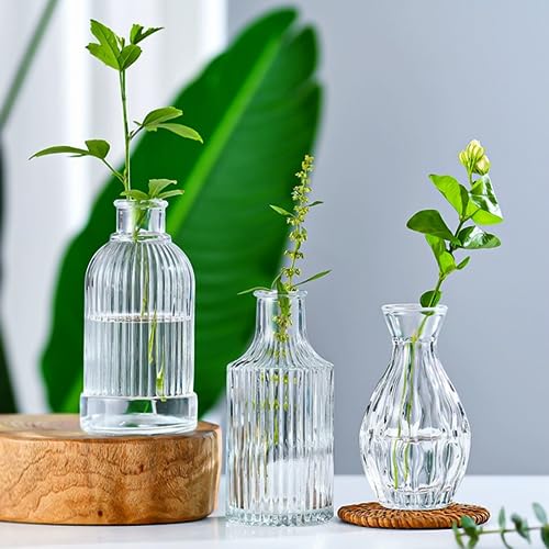 Clear Flower Vase Set, Glass Bud Vase in Bulk Set of 8 - color: Clear, size: 8 pcs