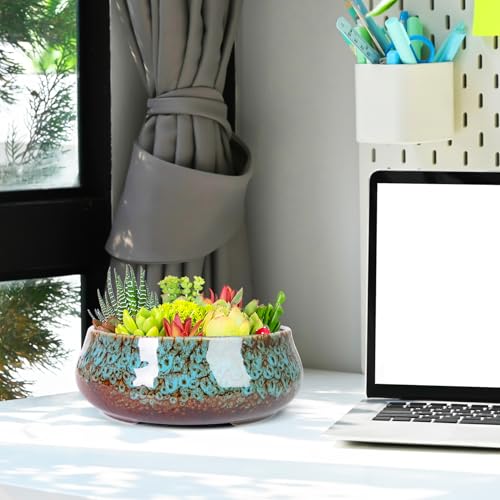 ARTKETTY Succulent Pots, 8 Inch Plant Pots Large Bonsai Pots with Drainage - color: Blue