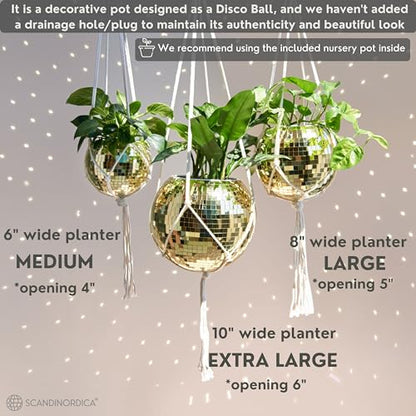 SCANDINORDICA Disco Ball Planter, Value Package, 6-inch Gold - size: 6" Gold