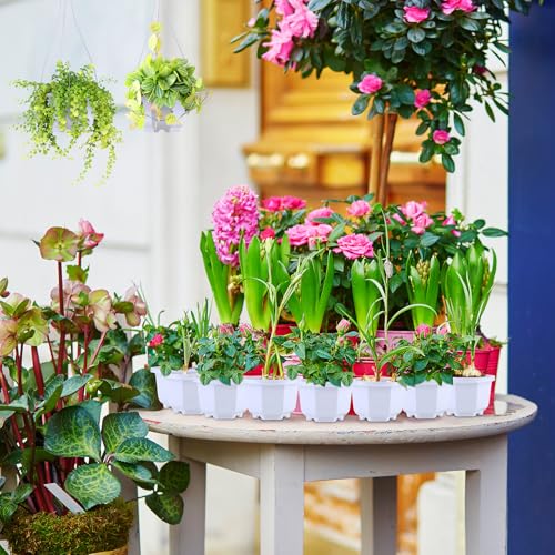 Roshtia 24 Pcs Hanging Planter Pot with Hook, Ceramic White, 3.7 Inch - color: Ceramic White, size: 3.7 Inch