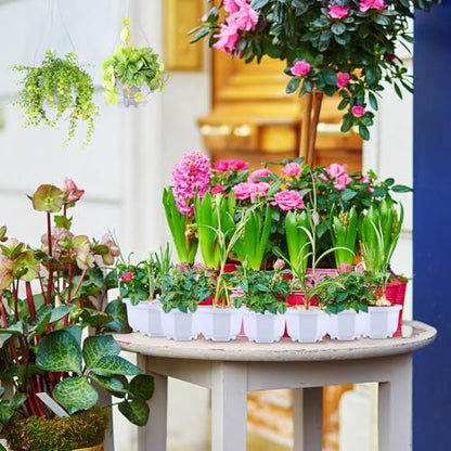 Roshtia 24 Pcs Hanging Planter Pot with Hook, Ceramic White, 3.7 Inch - color: Ceramic White, size: 3.7 Inch