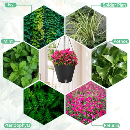 8 Inch Hanging Planters Indoor Outdoor, 3 Pack Plastic Self Watering Plant Pots with Drainage Holes & Saucers, Hanging Baskets Flower Pots with Chain for Ivy, Spider Plant, Pothos, Ferns - color: Black