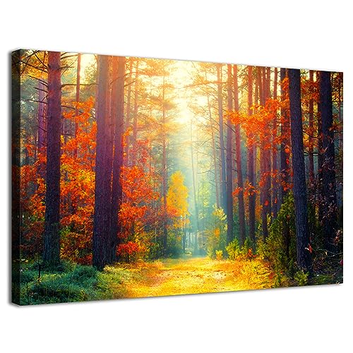 Fall Forest Canvas Wall Art Autumn Tree Scenery Wall Decor for Living Room Bedroom Nature Landscape Pictures Sunshine Orange Maple Leaves Painting Prints Artwork Dining Room Home Decorations 12x16” - color: Fall Forest, size: 16"L x 12"W