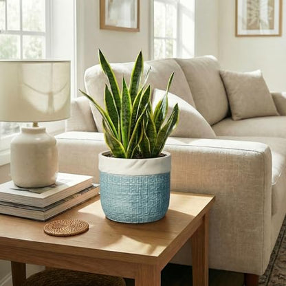 Ceramic Planter, 8 Inch Plant Pot, Round Flower Pots, Blue - color: Blue, size: 8 Inch