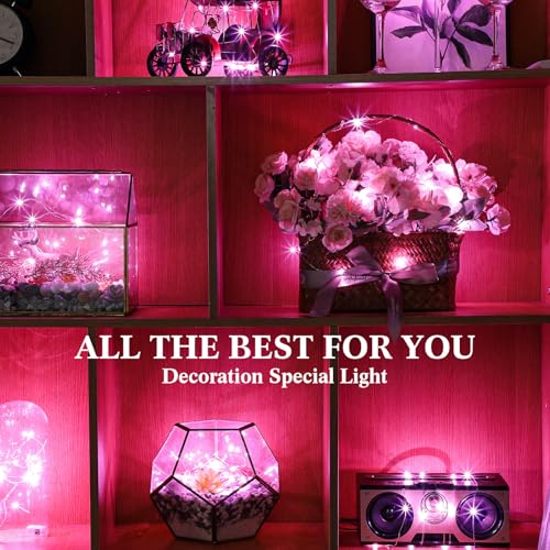 Hortsun 100 Pack Battery Operated Fairy Lights 7 ft 20 LED, Pink - color: Pink Light