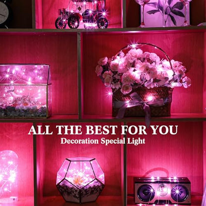 Hortsun 100 Pack Battery Operated Fairy Lights 7 ft 20 LED, Pink - color: Pink Light