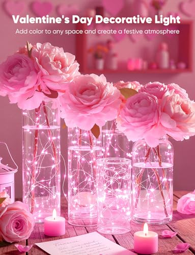 Brightown 12 Pack Valentine's Day Pink Fairy Lights Battery Operated - color: Pink, size: 12 PC