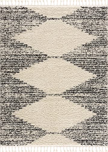 Hauteloom Berber Shag Collection - Howth Farmhouse Entryway, Bedroom, Kitchen Shaggy Runner Rug with Tassel - Fluffy Plush High Pile Carpet - Southwestern Tribal Style - Beige, Black - 2'7" x 7'3" - color: Beige, Black, White / Howth, size: 2'7" x 7'3" (R