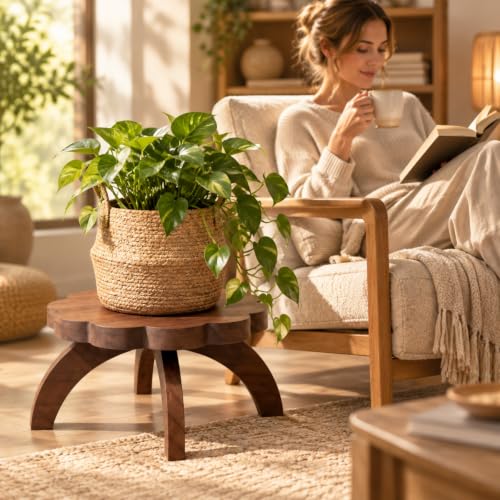 Novabright 2 Pcs Scalloped Short Plant Stand Small Wood Plant Stool Riser