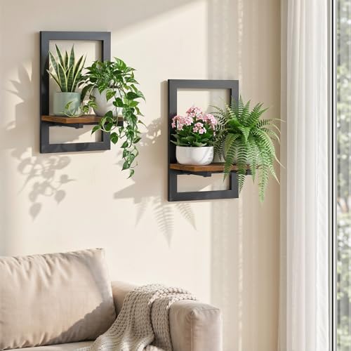 Housolution 2 Pack Wall Plant Holder, Picture Frame Design Plant Shelf