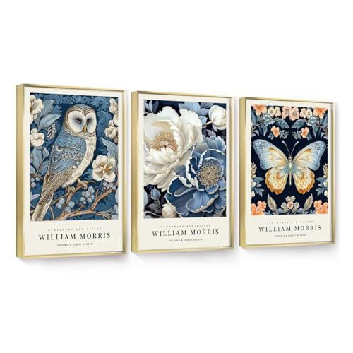 OVVGVV William Morris Wall Art set of 3 large Framed Vintage botanical Colorful Abstract Nature Flowers Canvas Art for Living Room Bedroom Office Decor(Style12, 3pcs 12x16 Gold Frame) - color: Type12-Gold, size: 12x16 in