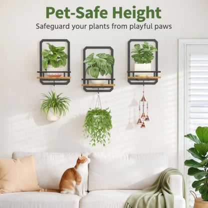 LASZOLA Plant Picture Frame Holder Shelf Wall Window Indoor, 3 Pcs Brown - color: Brushed Black+Brown, size: 3