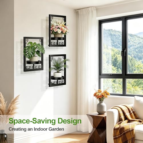 WGFKVAS Wall Plant Holder Set of 3, Picture Frame Plant Holder