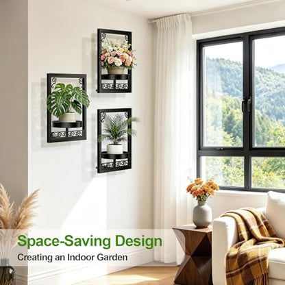 WGFKVAS Wall Plant Holder Set of 3, Picture Frame Plant Holder