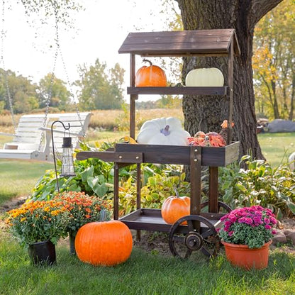 Sunnydaze Flower Cart Display Stand with Wheels, Pine Wood, 49” H, Brown - color: Pine