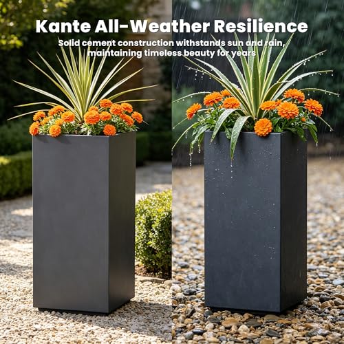 Kante Small Column Square Charcoal Concrete Planter 19.9" H, Outdoor - color: Charcoal, size: 19.9" H