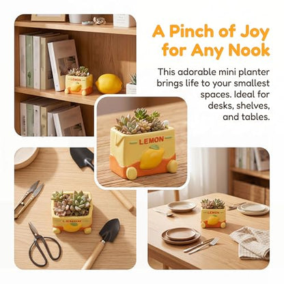 Cloud-Shaped Small Succulent Planters, 3.4''Dog Cute Plant Pots with Drainage Holes Funny Mini Resin Flower Pots for Indoor Outdoor Home Office Gifts (Mini B) - style: Mini B