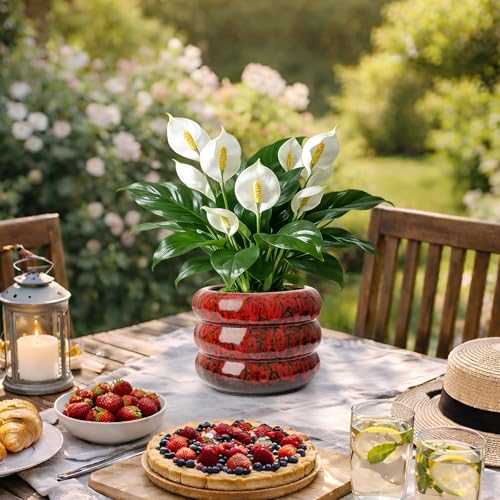 Ceramic 6 inch Plant Pot - Red Planter for Indoor Plants with Drainage Hole - color: Red-s