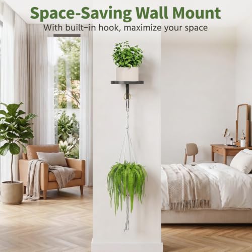 LASZOLA Plant Hanger Holder Wall Indoor with Macrame Hangers, 2 Pcs Black - color: Deep Black, size: 2