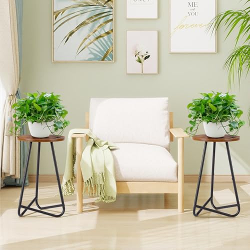 Plant Stand Indoor,Small Plant Table,Metal Display Rack,Brown,20 In - color: Brown, size: 20 In